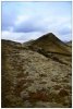 6/islande 79 (Small).jpg